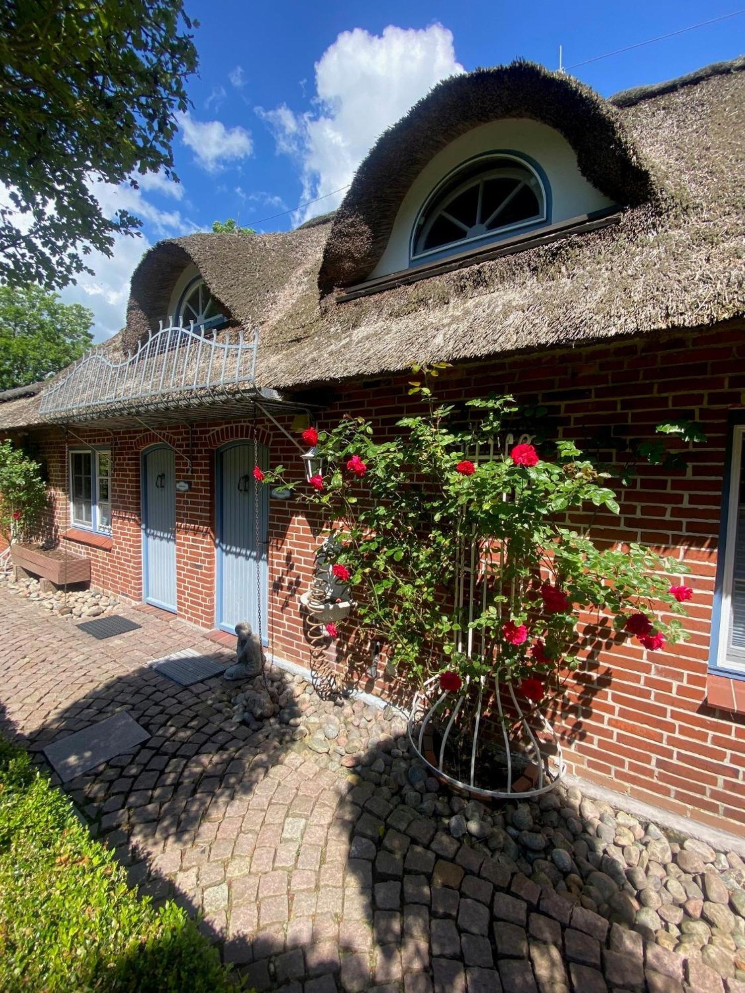 Hus Op De Duen Austernfischer Sankt Peter-Ording Exteriér fotografie